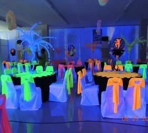 Fajon moño de color neon